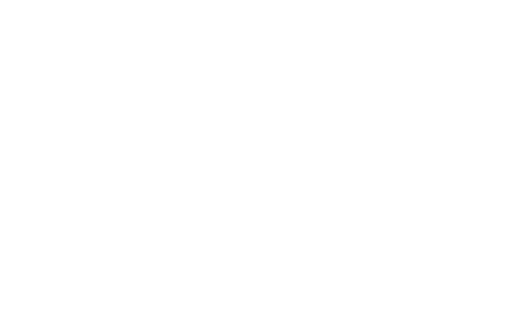 LifeCycle